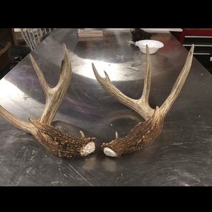 Meet your Posher, Blake